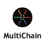 Multichain | Enterprise Blockchain Development