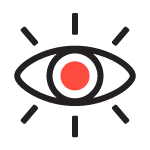 Vision Icon Image