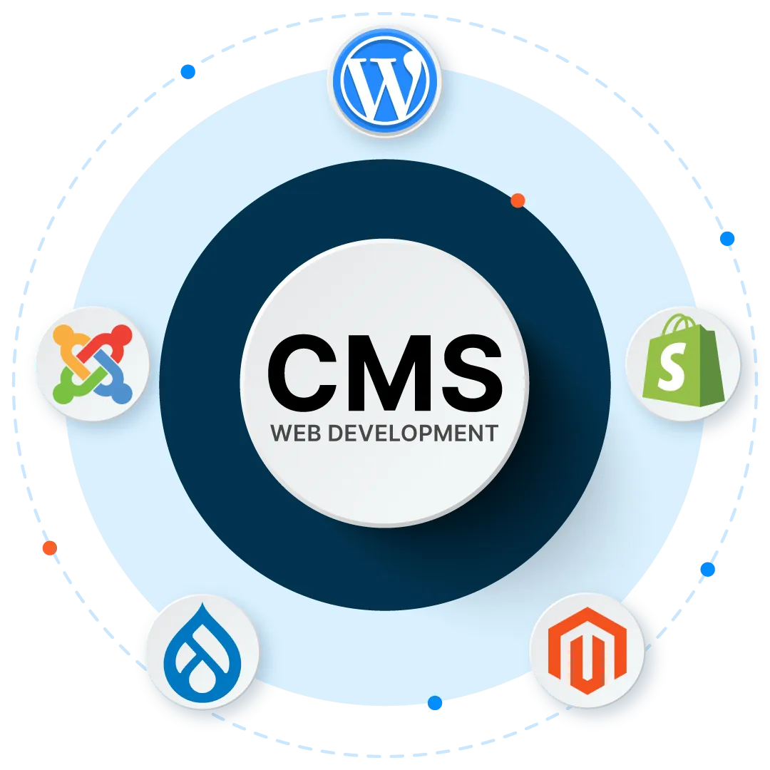 Vector Image | CMS Web Development Company